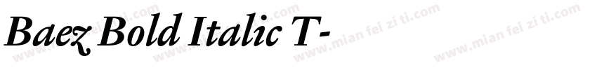 Baez Bold Italic T字体转换